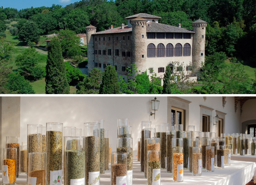 LA TISANA-CORSO 2.2 (AVANZATO)